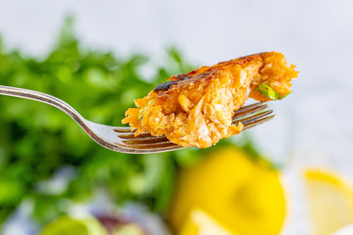 Fresh Salmon Cakes Recipe (EASY Salmon Patties!)