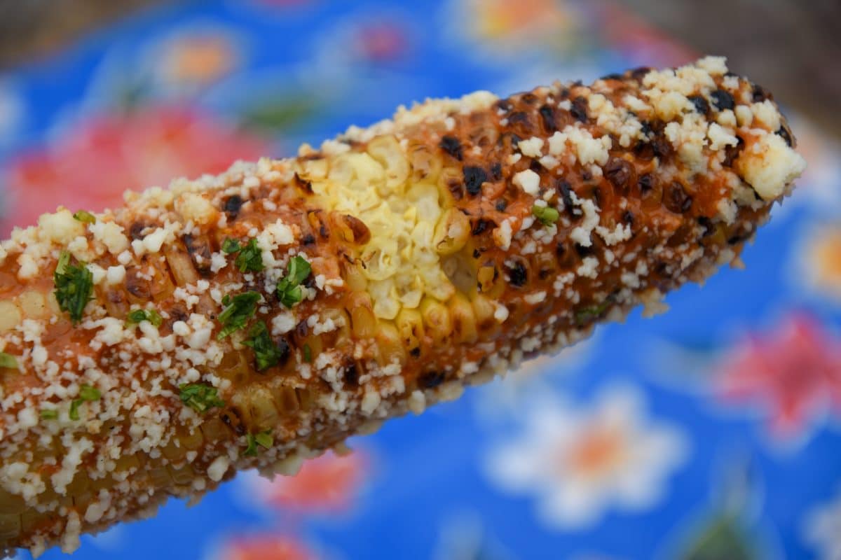 Ear of chipotle grilled corn with a bite taken out of it and a blue background