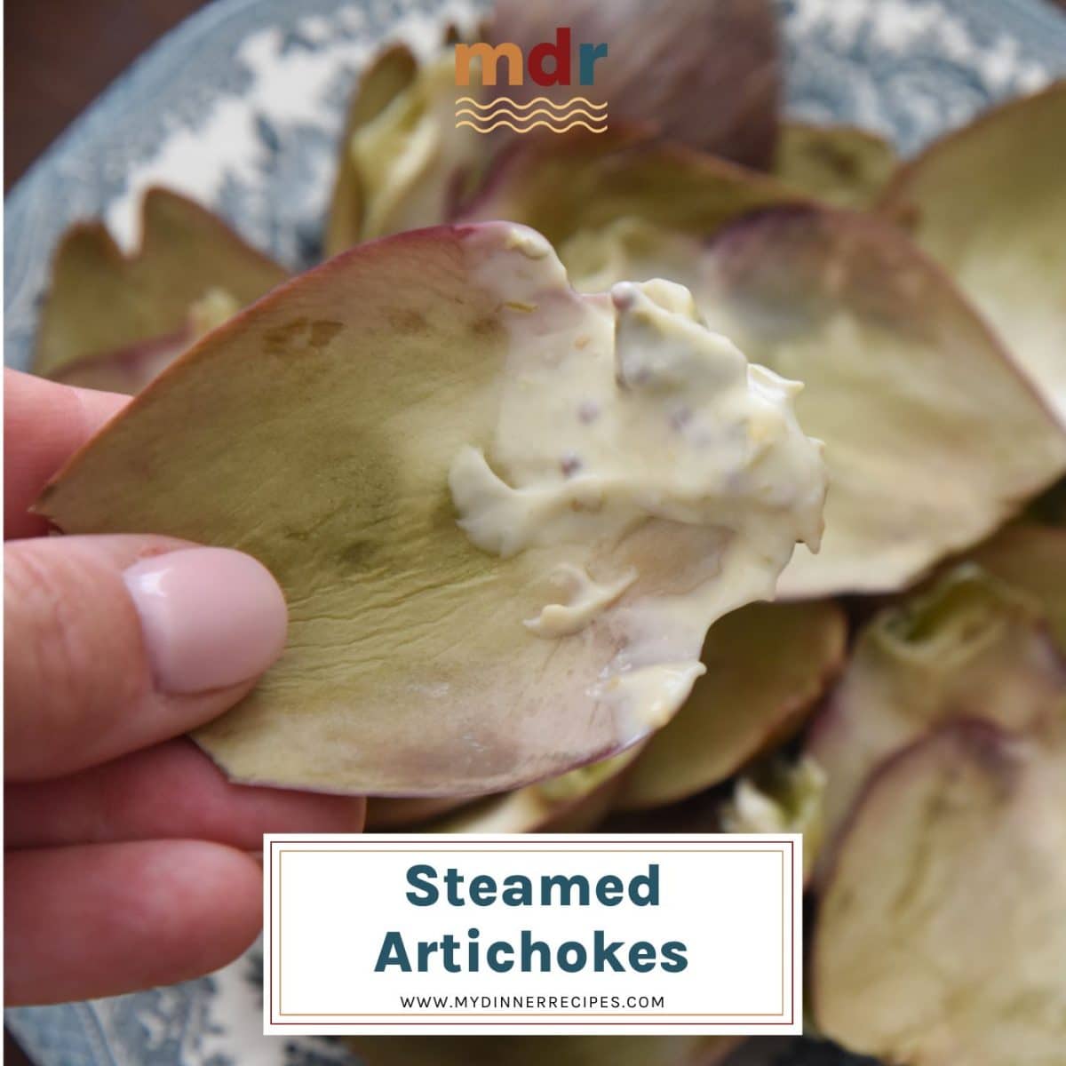 Hand holding artichoke leaf dipped in zesty caper sauce.