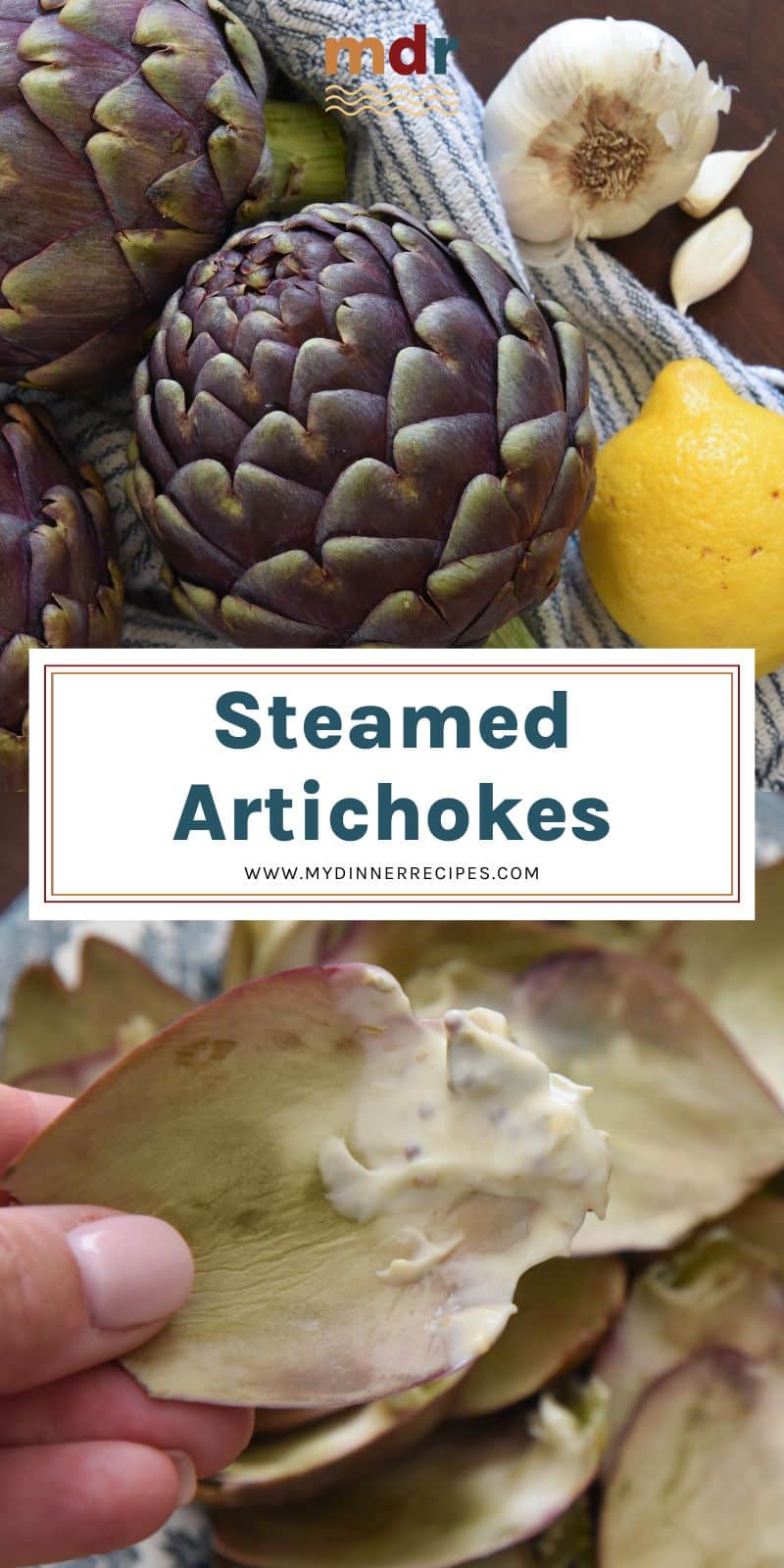 Whole artichokes, lemons, and garlic. Hand holding artichoke leaf that has been dipped in zesty caper dipping sauce. 